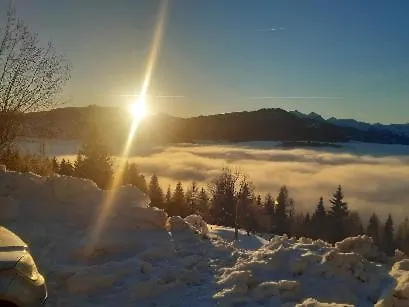Kohlegghof Aparthotel Schwemmberg